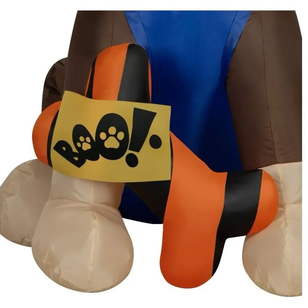 Nickelodeon brand new
